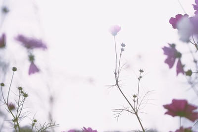 yudai-25101280005_TP_V