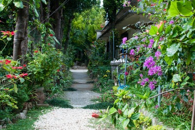 ELL92_hukuginamikinominka20131222_TP_V