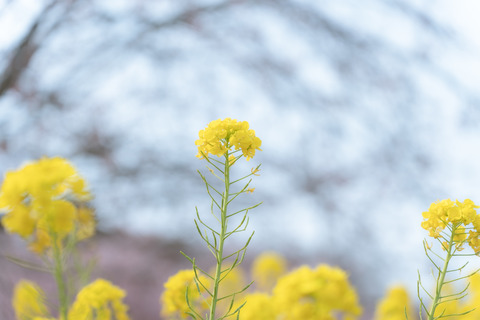 20220310-A7402238_TP_V (1)