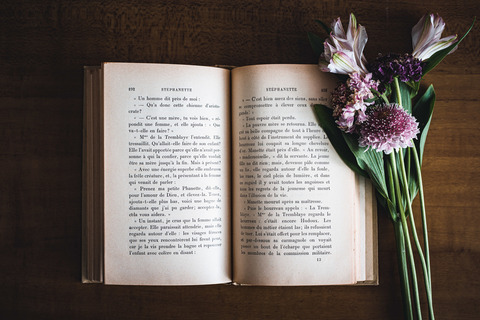 ellycollection001_TP_V