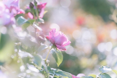 06-7400892_TP_V