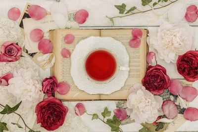 ellycollection073_TP_V (1)