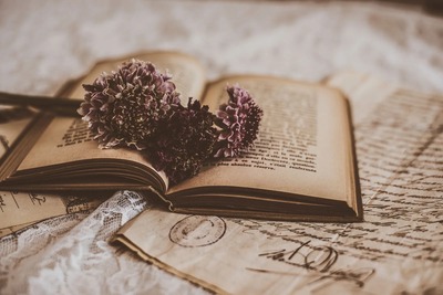 ellycollection000_TP_V