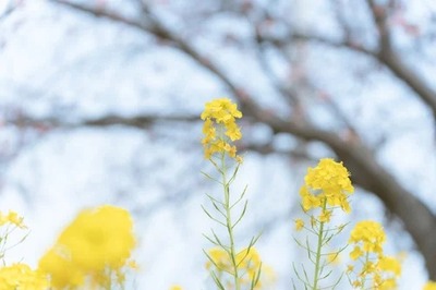 20220310-A7402234_TP_V4