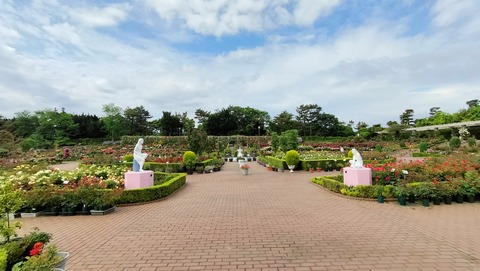 IMG20230513080711