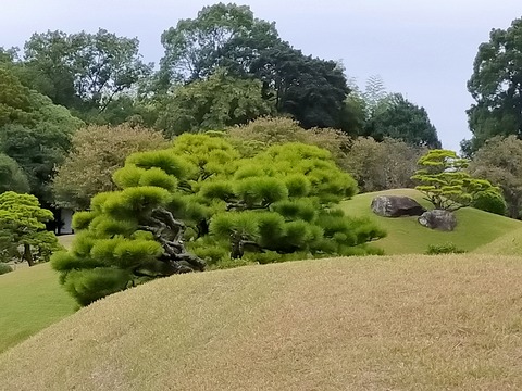 IMG20211024113840