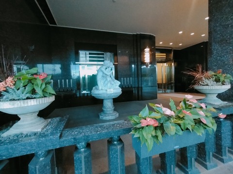 IMG20221024060731