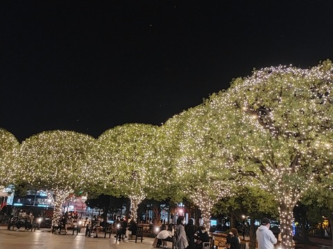 IMG20211113184119