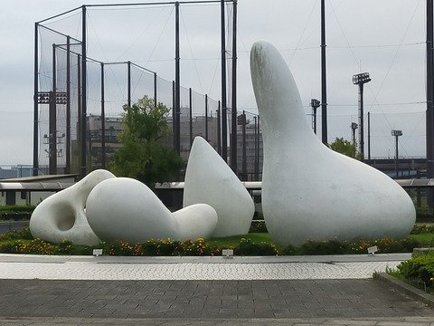 IMG20220911061458