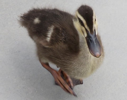 20200731114719_IMG_2194 (2)