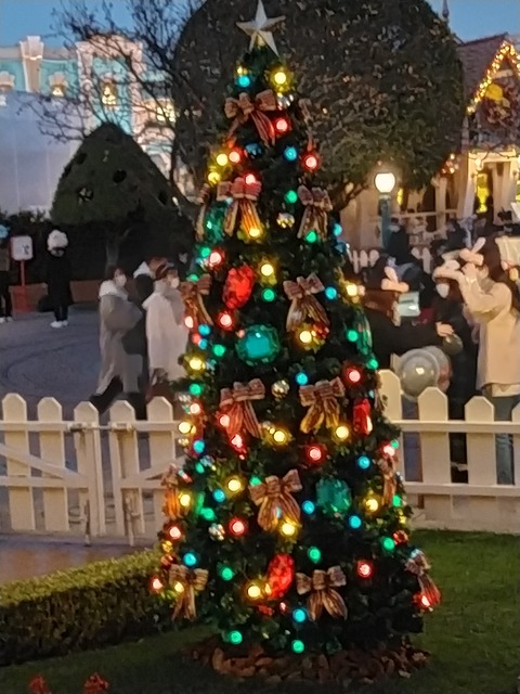 IMG20211204165510