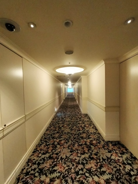 IMG20221024060145