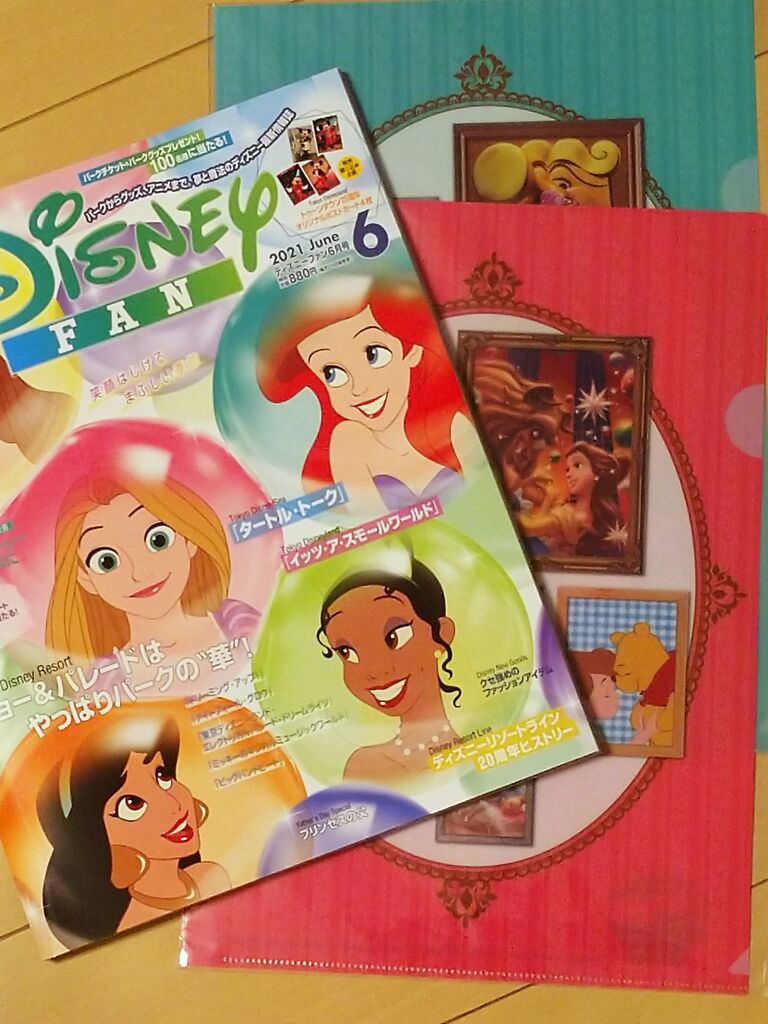 プリンセスの表紙 クリアファイル付き ディズニーファン６月号が届きました アラフィフ主婦のディズニー年パス日記