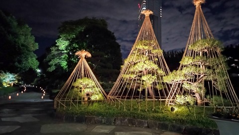 IMG20231118173808