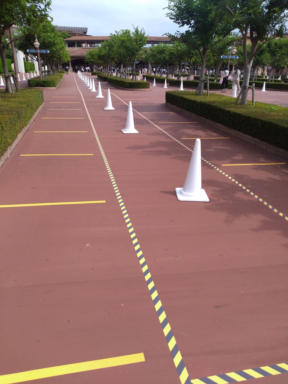 開園待ちのソーシャルディスタンスと入園 平日2時入園のディズニーシーその2 アラフィフ主婦のディズニー年パス日記 開園待ちのソーシャルディスタンスと入園 平日2時入園のディズニーシーその2 アラフィフ主婦のディズニー年パス日記