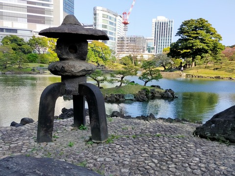 IMG20220409154755