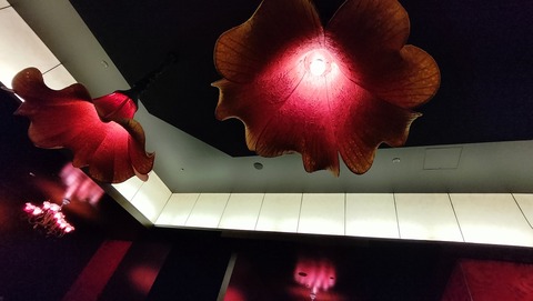 IMG20231203172657