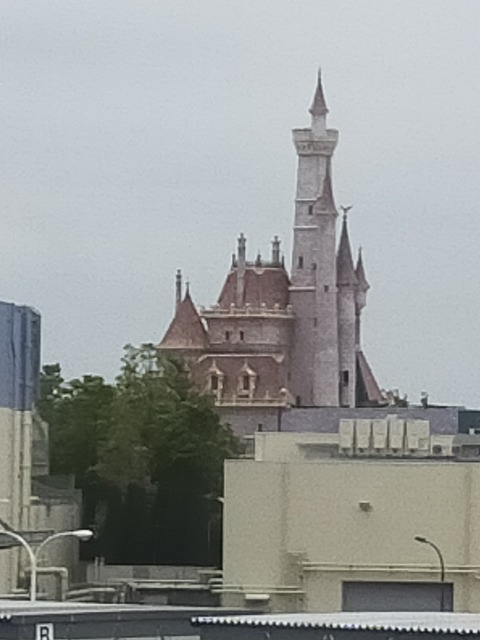 IMG20210522153116