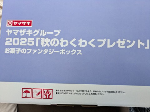 PXL_20251110_043027389