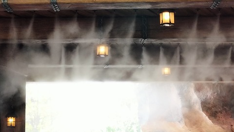 IMG20240706122120