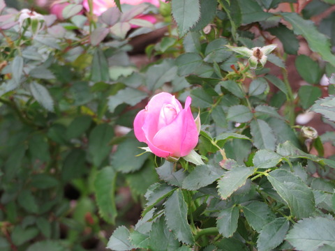 20201018141508_IMG_3199