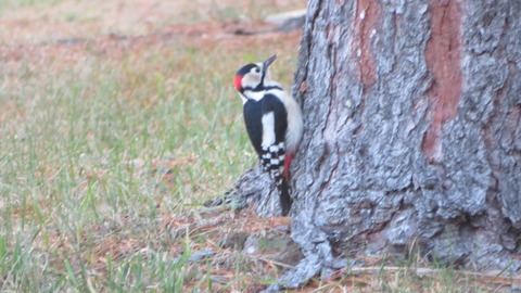 587692164_25266915372969748_6663902117031256495_n