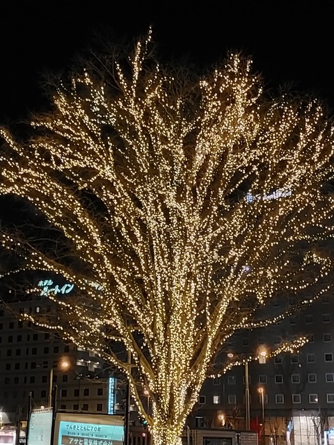 IMG20211231191436