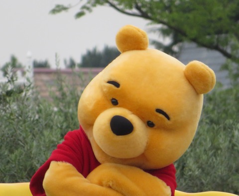 IMG_6576