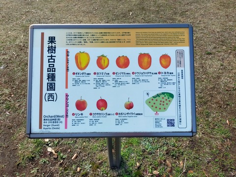 IMG20221204102902