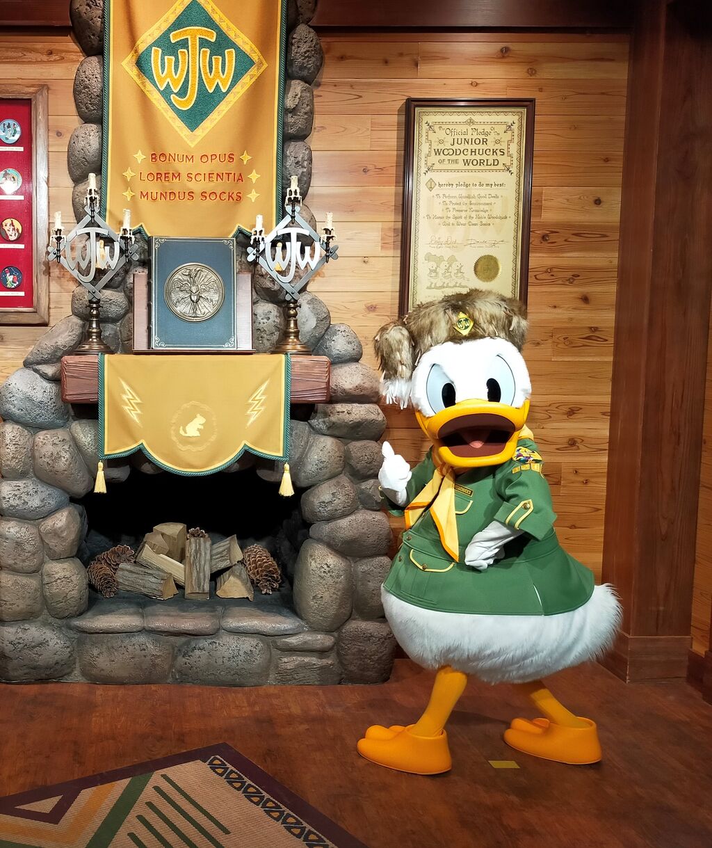 Happybirthday ドナルド ダック スクリーンデビューの日おめでとう アラフィフ主婦のディズニー年パス日記 Happybirthday ドナルド ダック スクリーンデビューの日おめでとう アラフィフ主婦のディズニー年パス日記