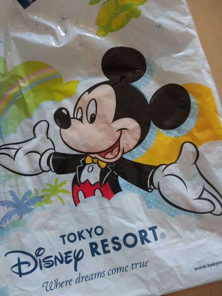年06月26日 アラフィフ主婦のディズニー年パス日記 年06月26日 アラフィフ主婦のディズニー年パス日記