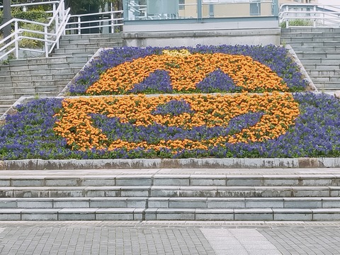 IMG20221024103845