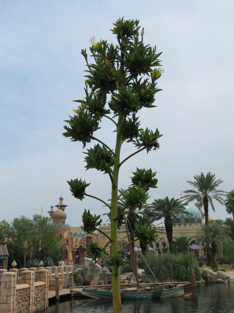 20200731113813_IMG_2193