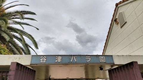 IMG20230513092659