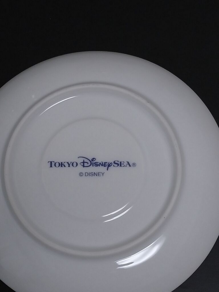 年04月 アラフィフ主婦のディズニー年パス日記