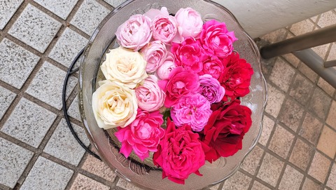 IMG20230513092630