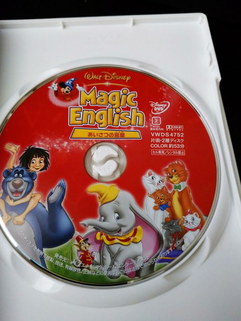 Dvd アラフィフ主婦のディズニー年パス日記 Dvd アラフィフ主婦のディズニー年パス日記