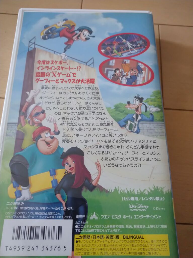 Dvd アラフィフ主婦のディズニー年パス日記 Dvd アラフィフ主婦のディズニー年パス日記