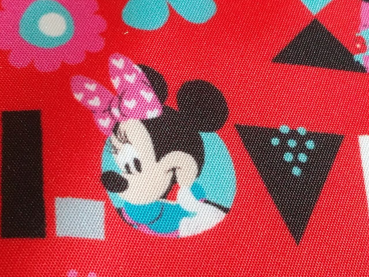 ミニーちゃん夏衣装が表紙 ディズニーファン８月号が届きました アラフィフ主婦のディズニー年パス日記