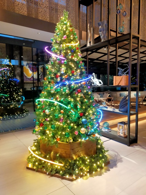 IMG20221211062157