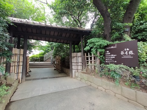 IMG20220618122942