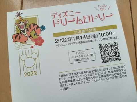 ディズニー アラフィフ主婦のディズニー年パス日記