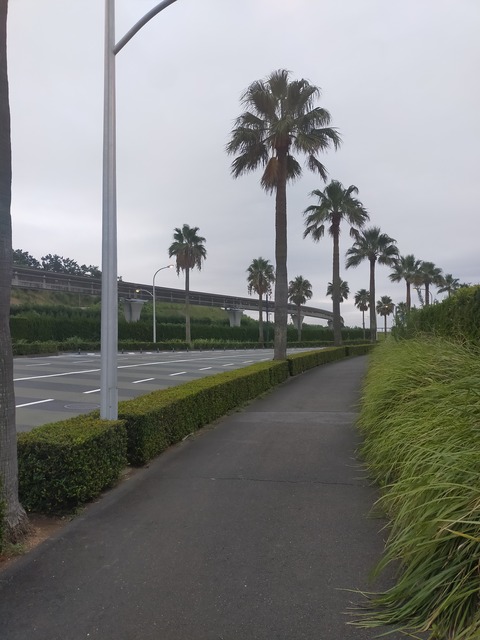 IMG20220911054802