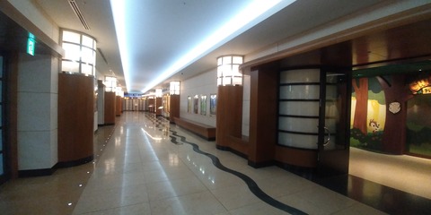 P_20200314_154927