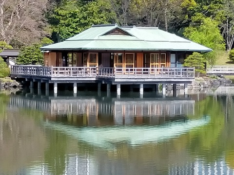 IMG20220410094607