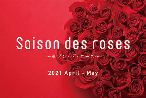 46FBD683-EA89-361B-596F53CBB96462BA