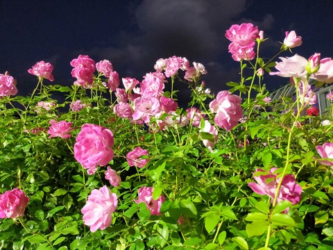 IMG20221029171953
