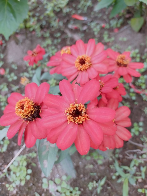 IMG20221024103219