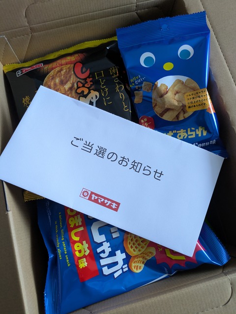 PXL_20251110_043004365