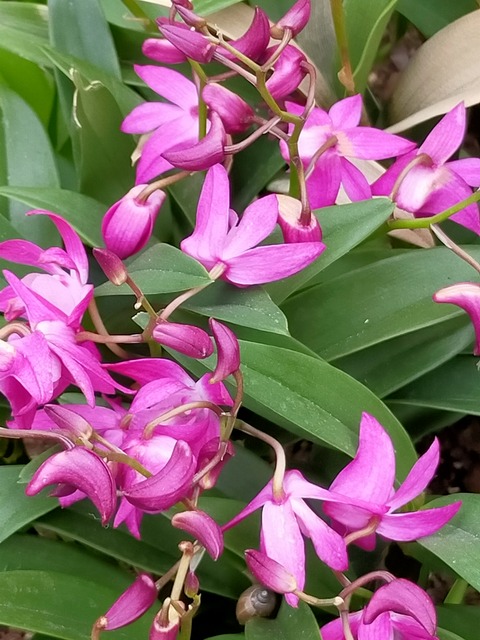 IMG20220204142233